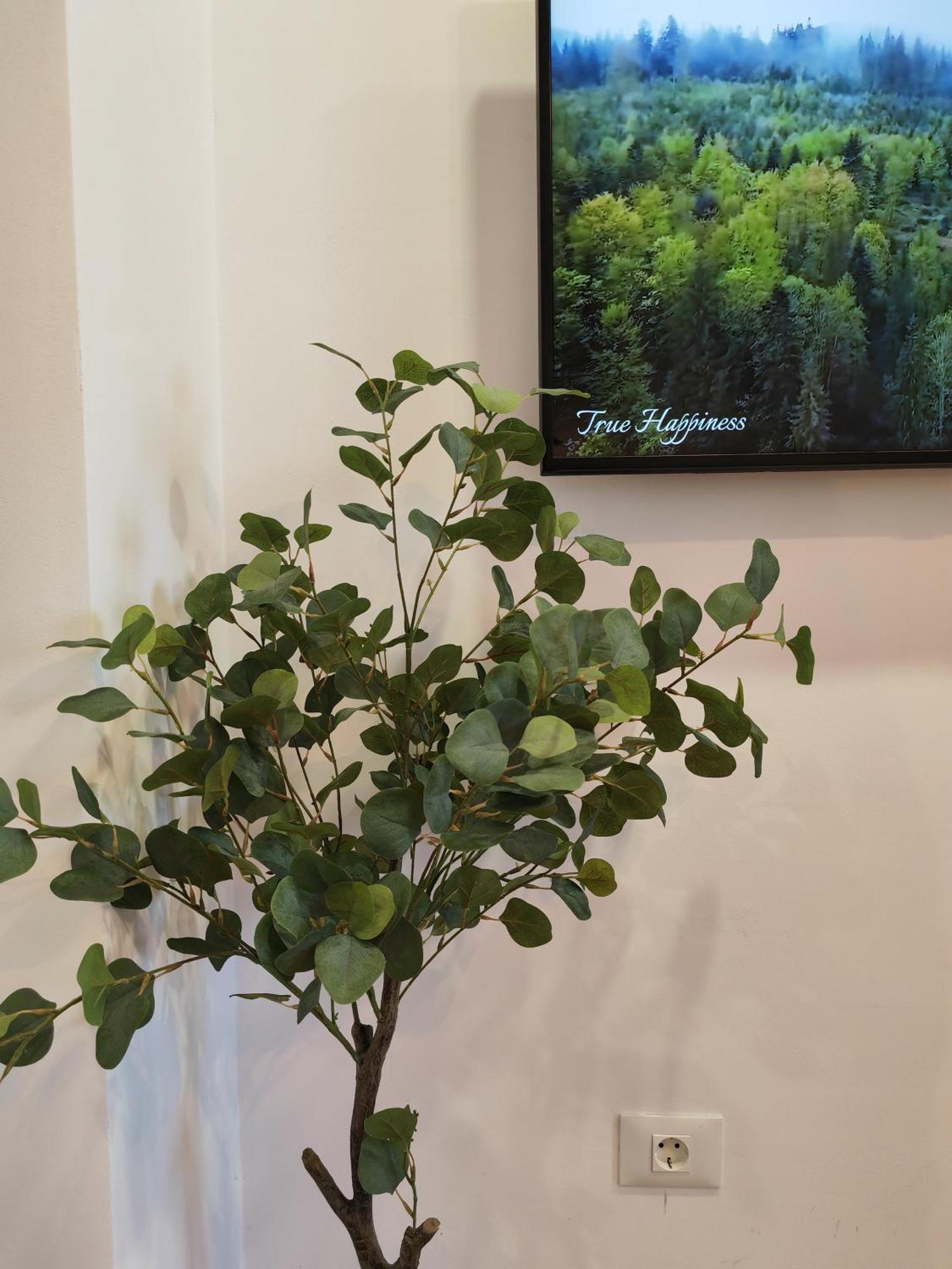 Sunset Bucharest Rebreanu Apartment Ngoại thất bức ảnh